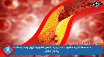 «صحة أفضل» مشروبات طبيعية لخفض الكوليسترول وحماية القلب بشكل فعّال